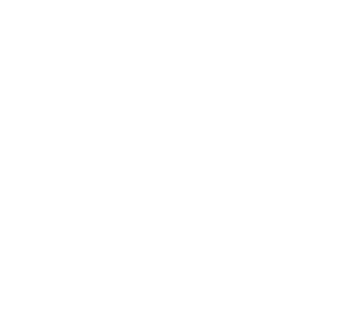 logo de website